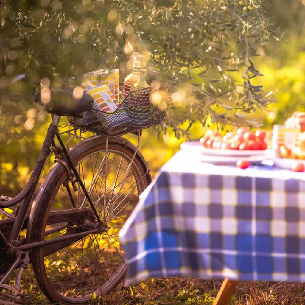 Picnic con l’olio extravergine di oliva